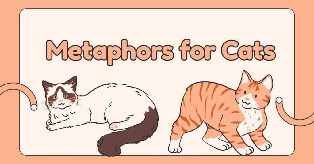 Metaphors for Cats
