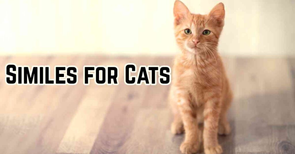 Simile Cat Similes for Cats: A Comprehensive Guide - Marcus Grammar