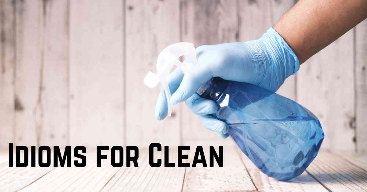 Idioms for Clean: Mastering Figurative Language - Marcus Grammar