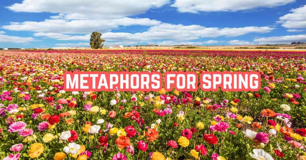 Spring Metaphors: A Comprehensive Guide to Figurative Language - Marcus ...