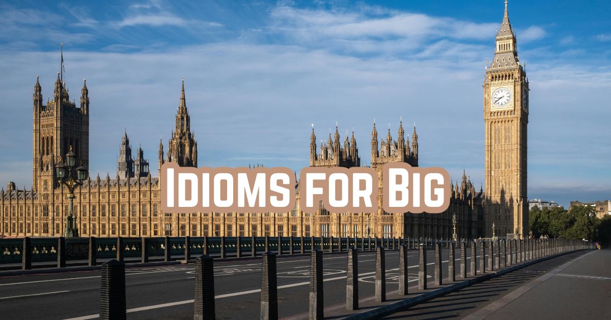 Idioms for Big: Mastering Expansive English Expressions - Marcus Grammar