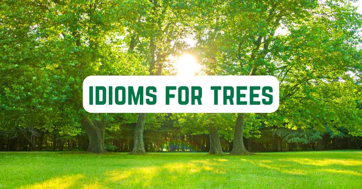 Branching Out: Mastering Idioms About Trees - Marcus Grammar