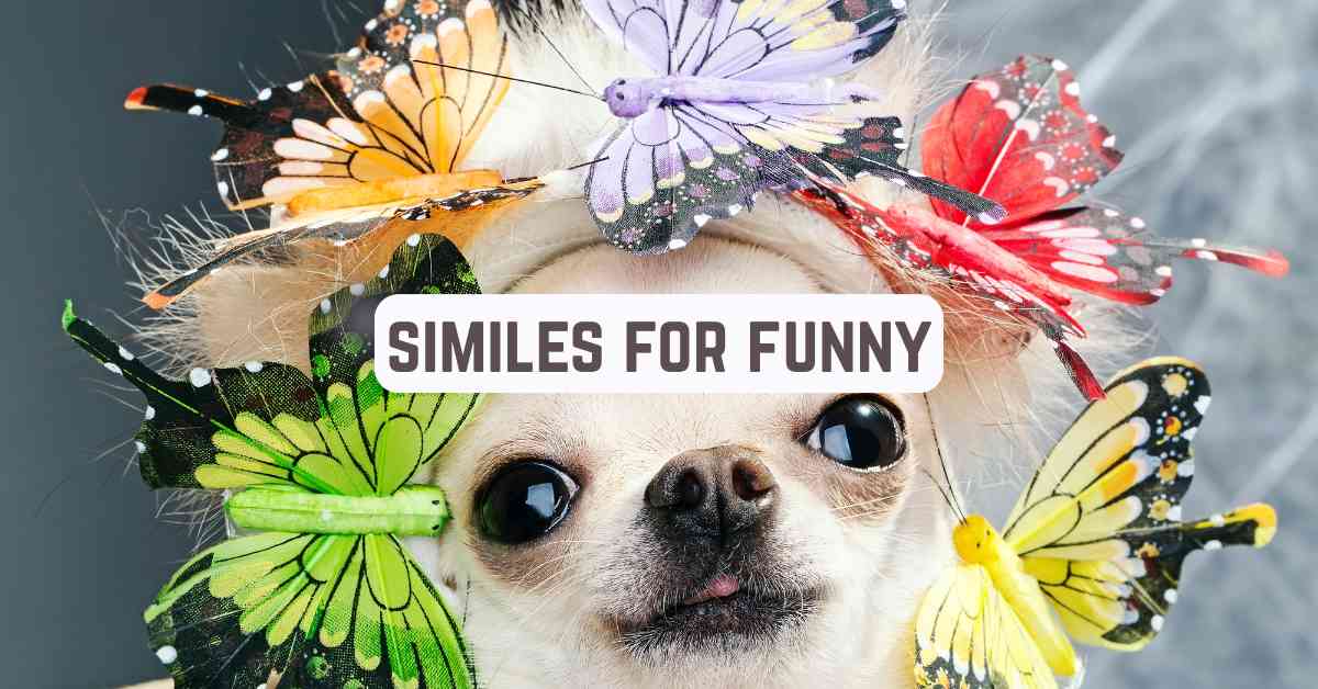 Funny Similes: A Humorous Guide to Figurative Language - Marcus Grammar
