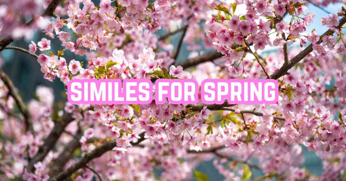 Spring Similes: A Guide to Descriptive Comparisons - Marcus Grammar