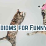 Idioms for Funny
