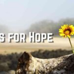 Idioms for Hope