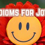 Idioms for Joy
