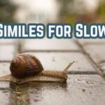 Similes for Slow