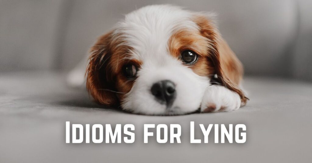 Idioms for Lying