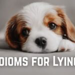 Idioms for Lying