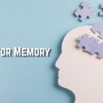 Idioms for Memory