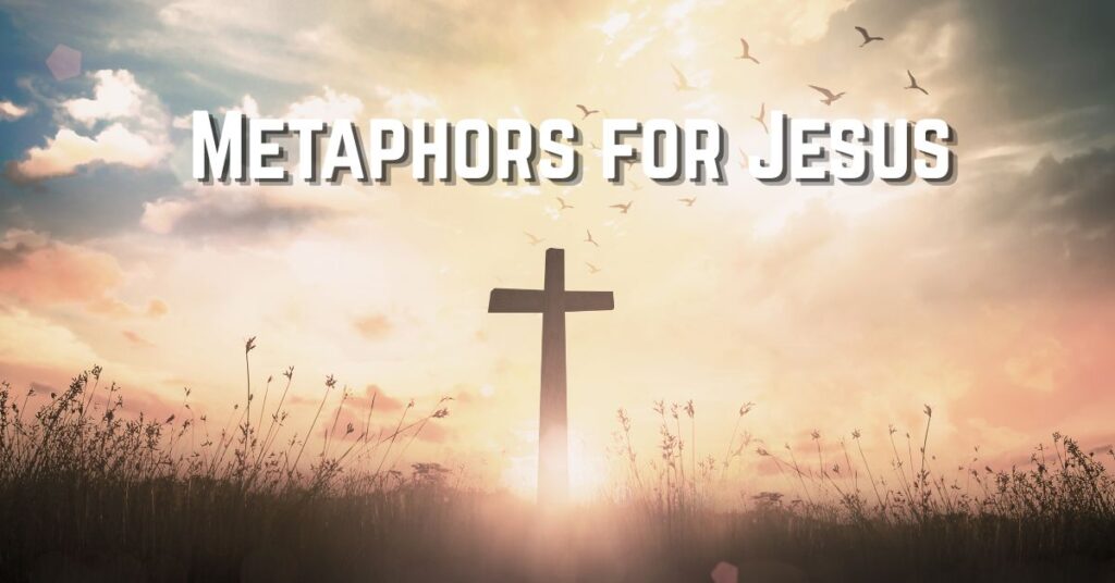 Metaphors for Jesus